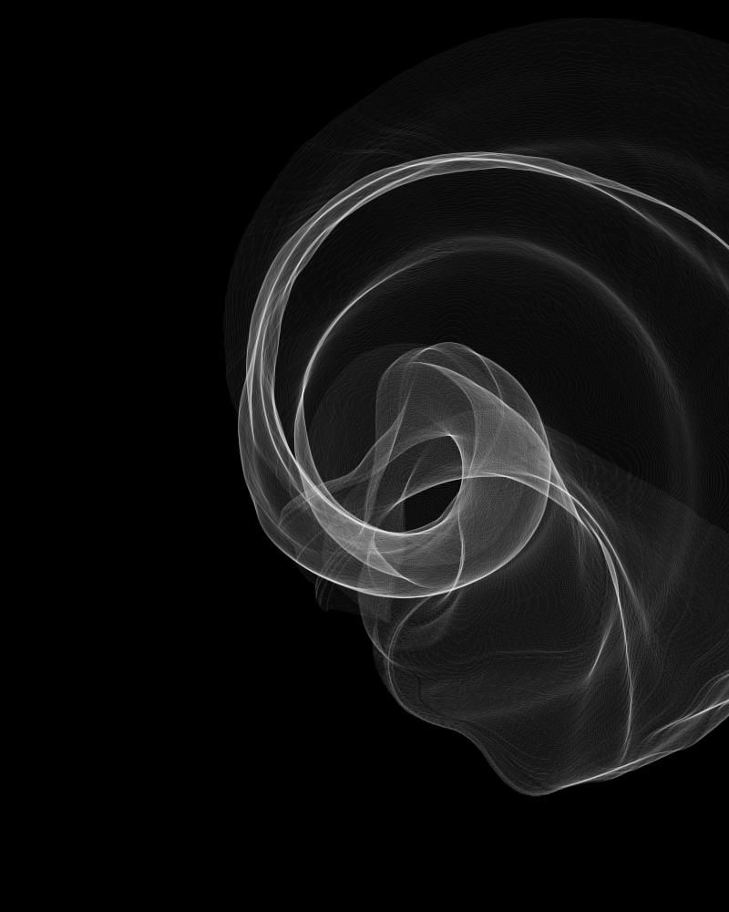 image generated with the mollusca generative program