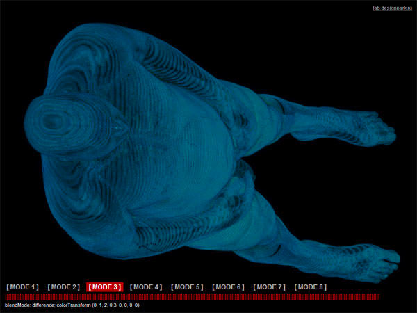 screenshot of an interactive visualization based on human MRI scans, showing a layered 3d rendering of a body in blue tones with selectable display modes
