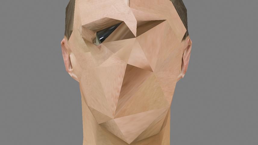 visual experiment with low poly 3d head model