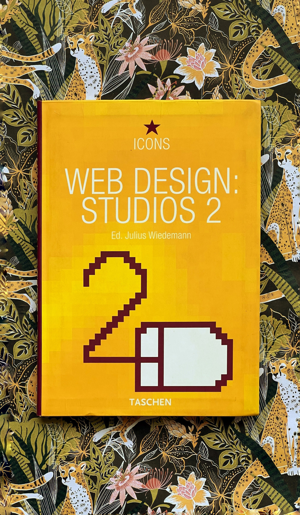 Icons by Ed. Julius Wiedermann: Web Design Studios 2 (Taschen). Cover