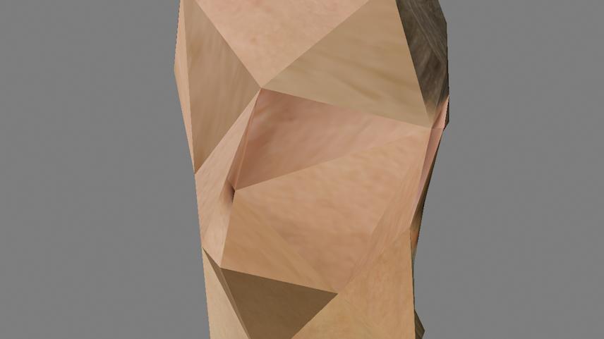 visual experiment with low poly 3d head model