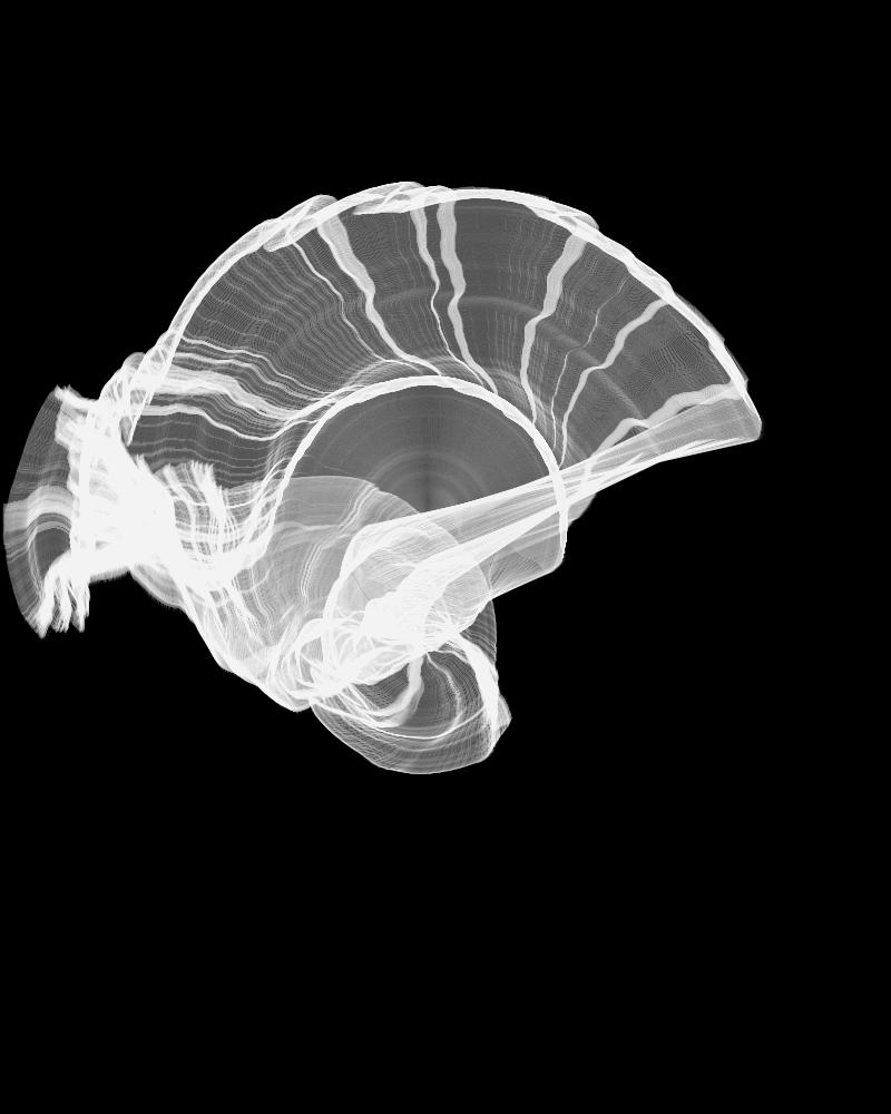 image generated with the mollusca generative program