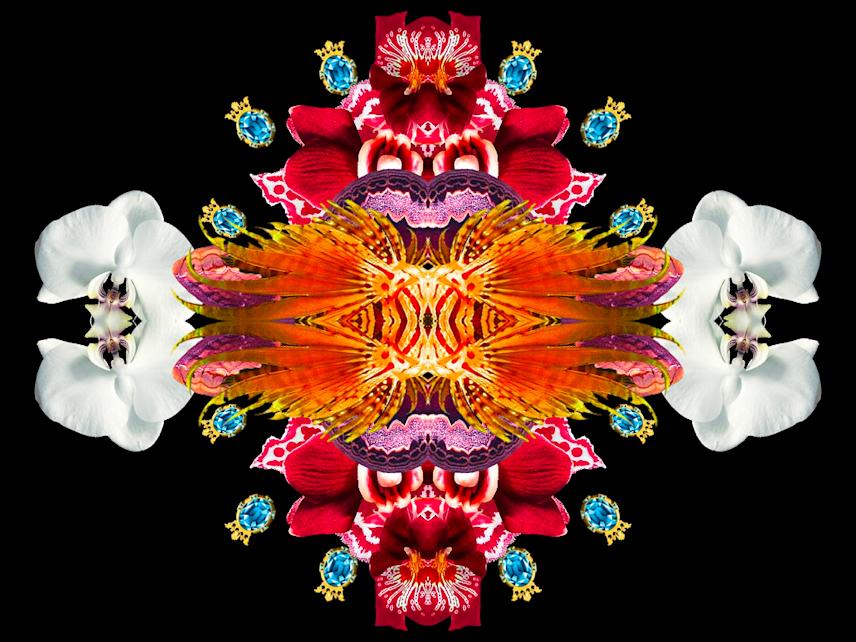 screenshot of bombay sapphire dreams generative animation