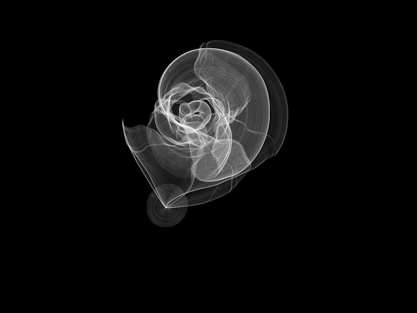 image generated with the mollusca generative program