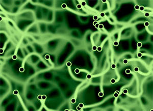 dna scan experimental program screenshot