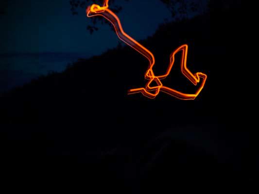 night camp generative animation screenshot