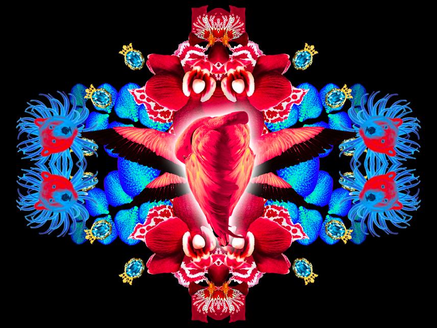 screenshot of bombay sapphire dreams generative animation