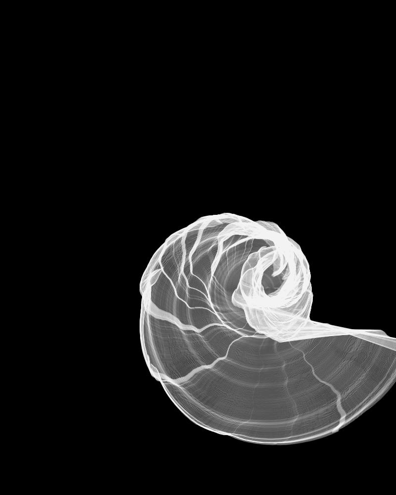 image generated with the mollusca generative program