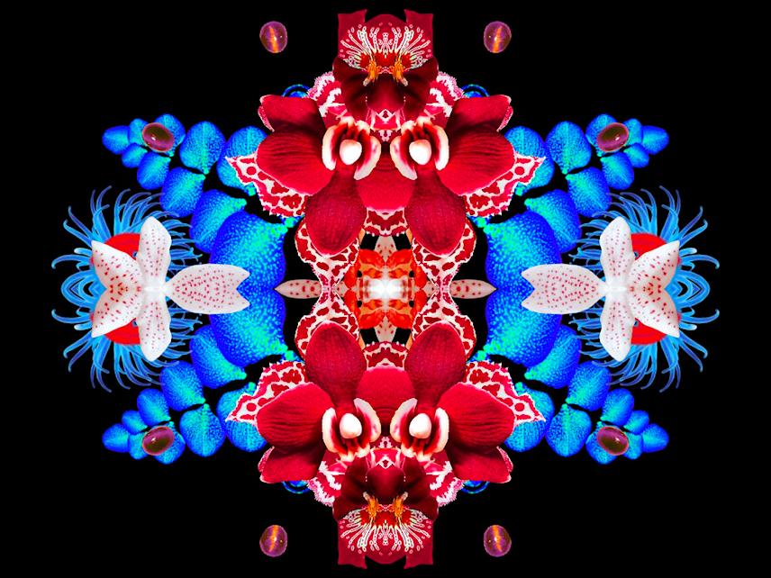 screenshot of bombay sapphire dreams generative animation