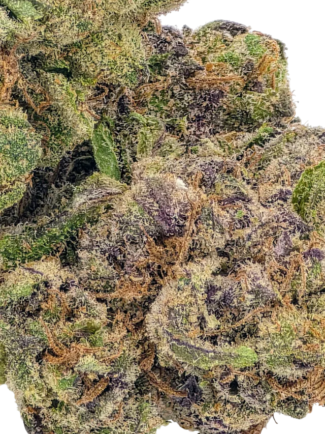 Sour Dream