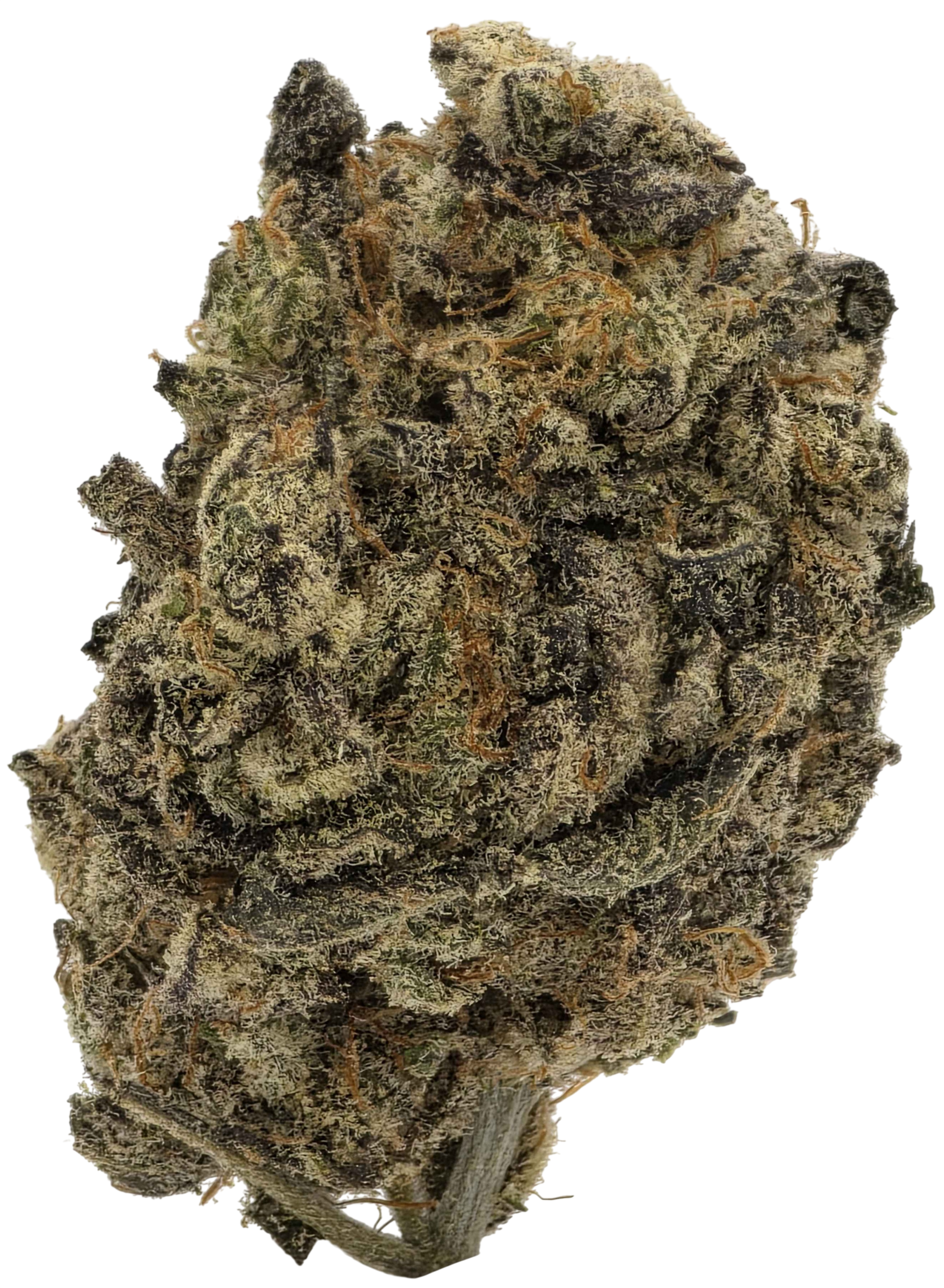 featured · hero macro