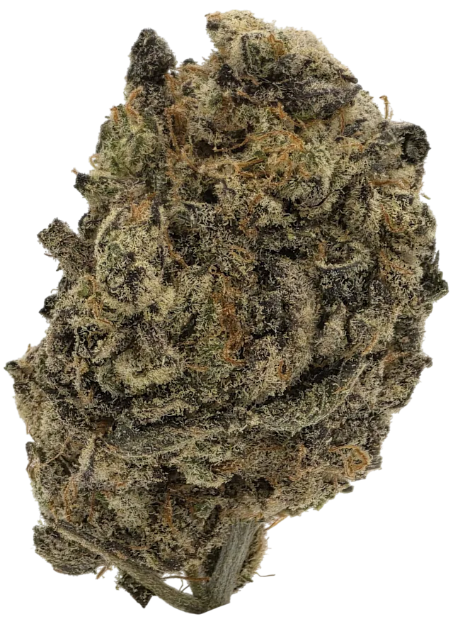 Daywalker Diesel (Living Soil)