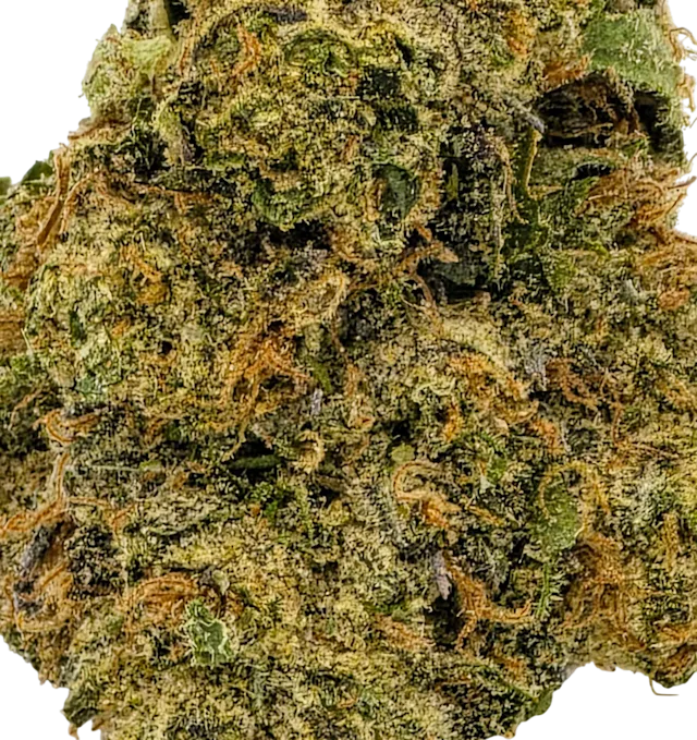 GG #4