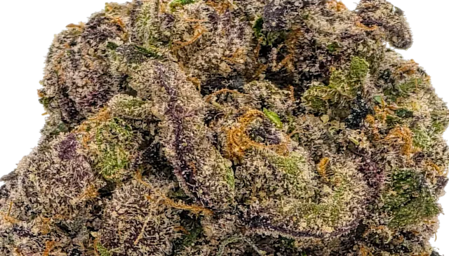 Gas Face