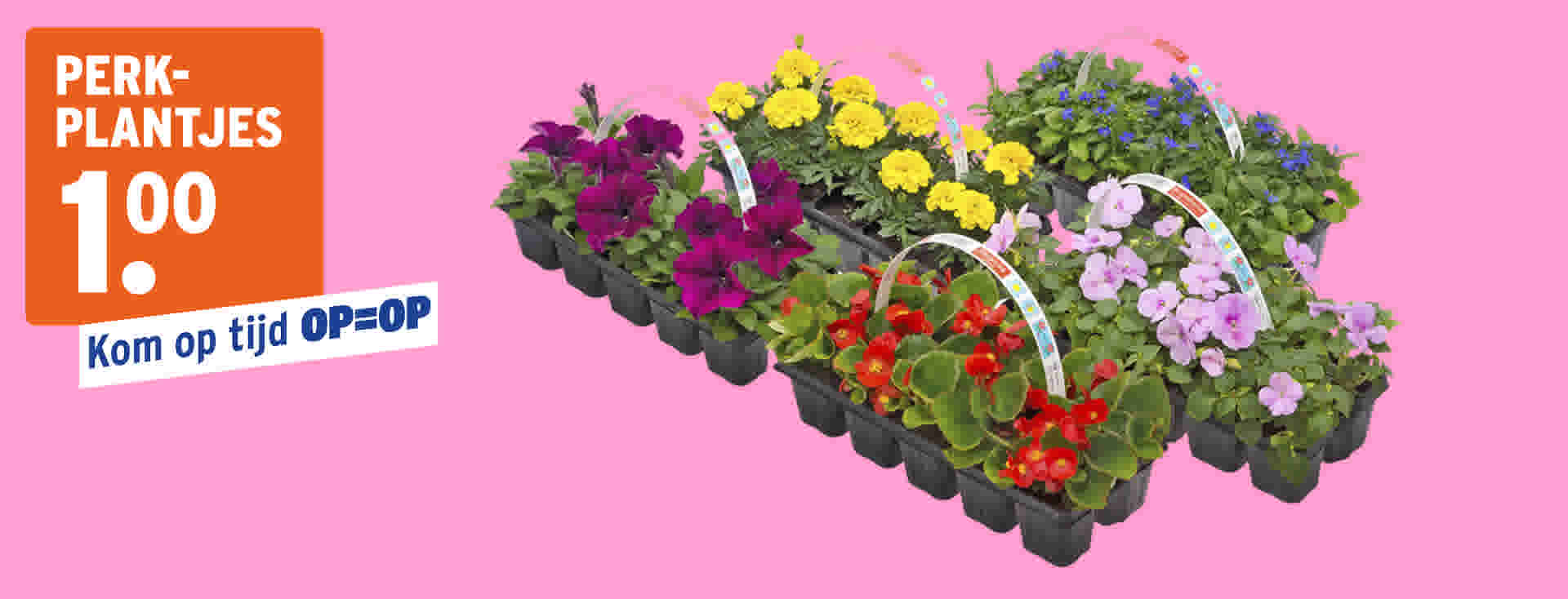 Perkplantjes  €1,00. Kom op tijd OP=OP