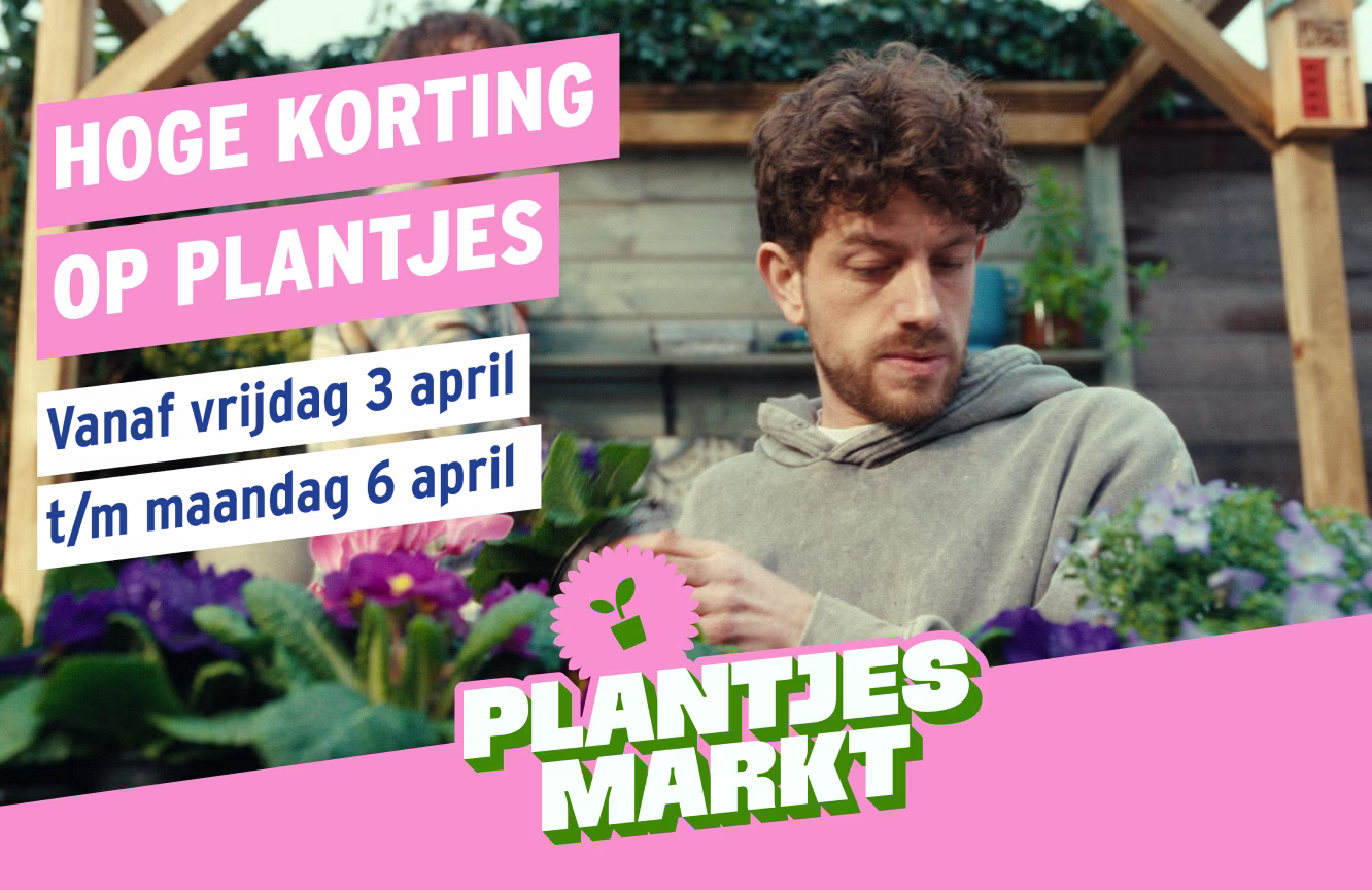 Plantjesmarkt bij GAMMA