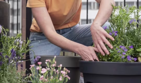 Potplanten water geven