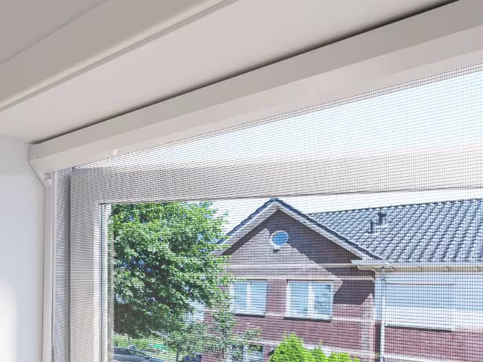 Witte horren in een raam met uitzicht op een bakstenen huis met blauwe dakpannen en een groene boom ernaast.