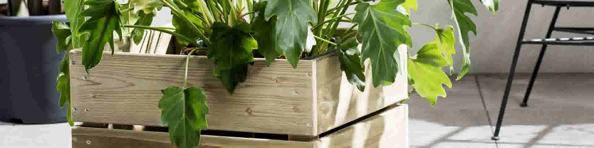 Met hout maak zelf een plantenbak of bloembak: stappenplan | GAMMA