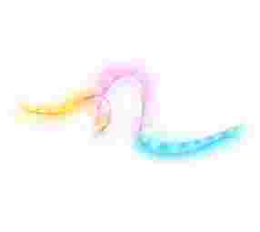 Philips Hue LED strips