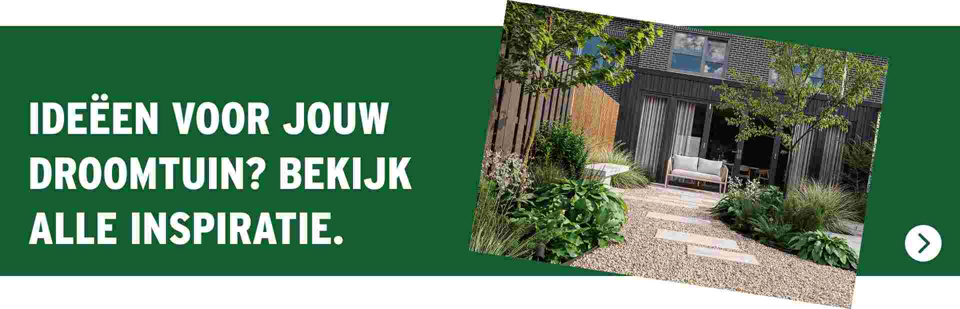 Moderne achtertuin met grindpad, groene planten en loungeset bij donker huis met grote ramen, tegen groene achtergrond met tekst.