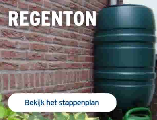 regenton