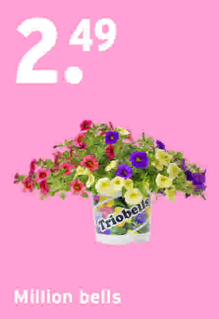 Million bells €2,49