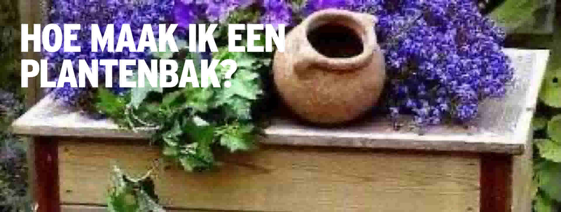 Verwonderend Plantenbak maken: bekijk ons stappenplan | GAMMA TV-05