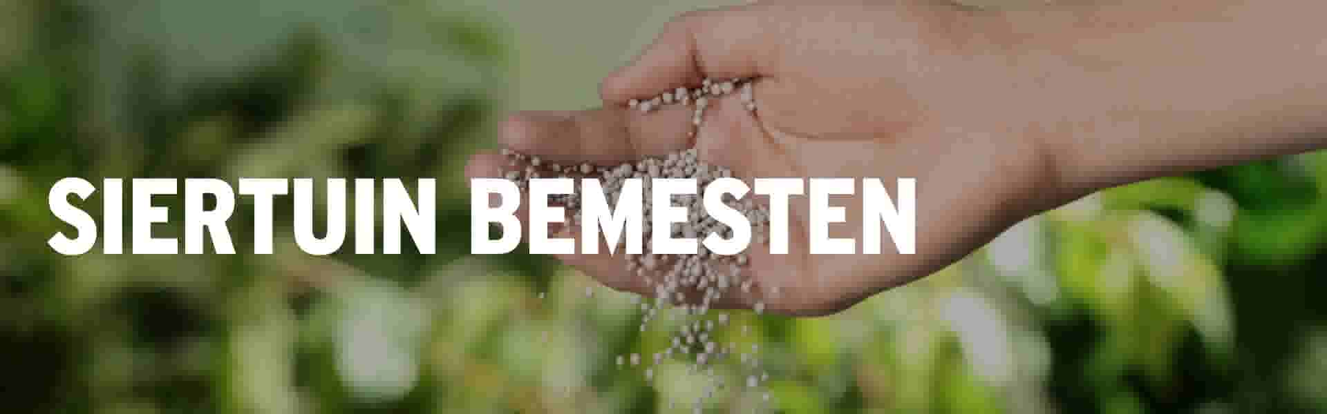 Tuin bemesten onderhoud en tuintips Gamma