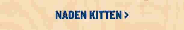 Naden kitten