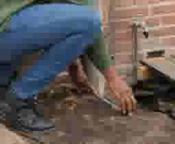 grond voorbereiden rainblocks