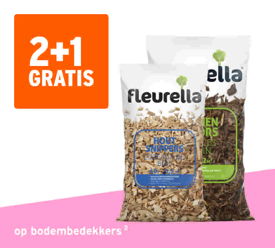 2+1 gratis op bodembedekkers