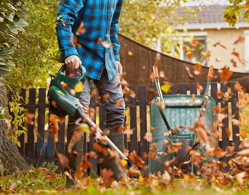 Maak je tuin herfst- en winterklaar