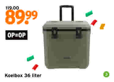 Travellife koelbox groen 36L