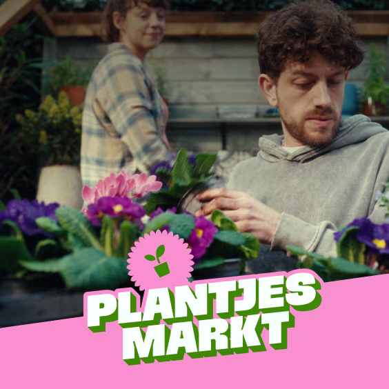 Plantjesmarkt