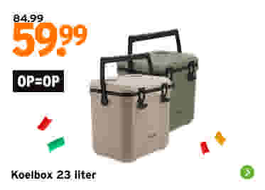 TRAVELLIFE koelbox Magnus 23 liter kunststof