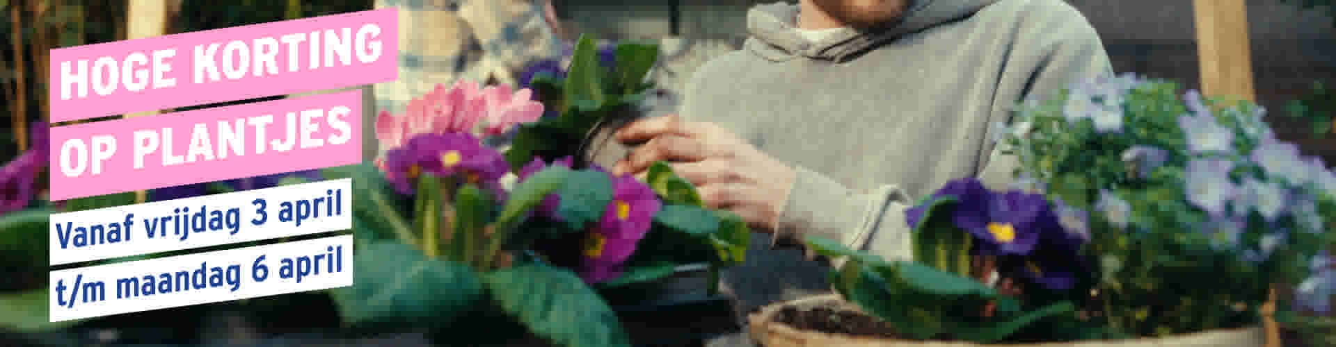 Plantjesmarkt - Vanaf vrijdag 3 april t/m 6 april