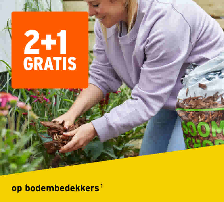 2+1 GRATIS op bodembedekkers 