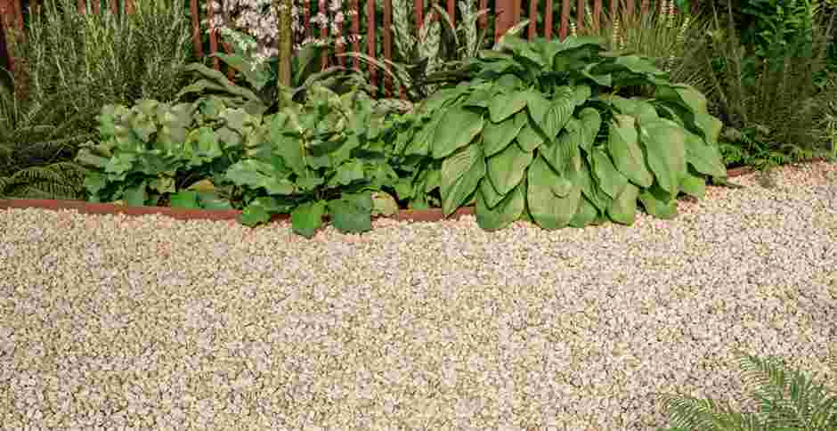 Weelderige groene planten en varens in een tuinbed met grindpad, omlijst door houten randen voor een natuurlijke uitstraling.