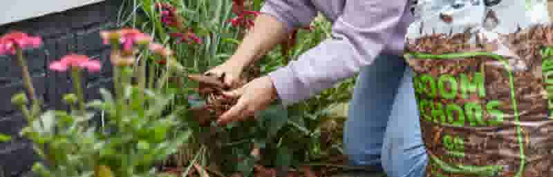 Mulch aanbrengen in border 