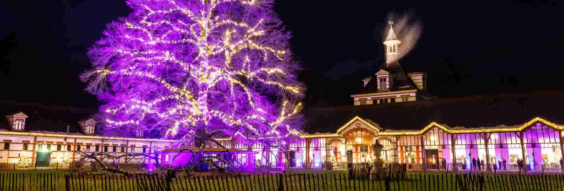 GAMMA versiert Paleis het Loo | GAMMA