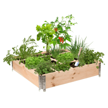 Tuinkassen en moestuinbakken