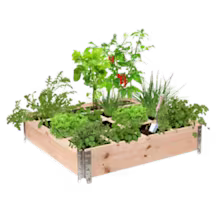 Tuinkassen en moestuinbakken