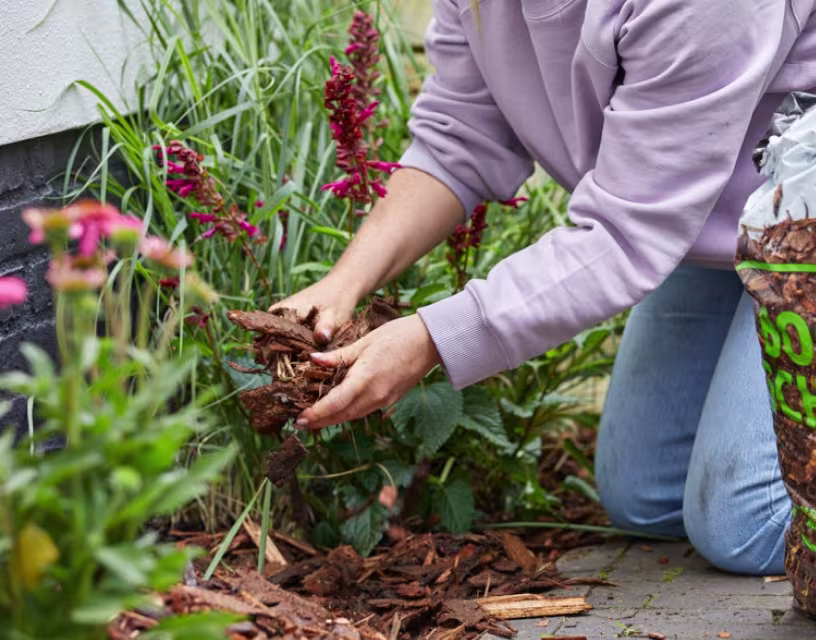 Jouw beplantingsplan maken