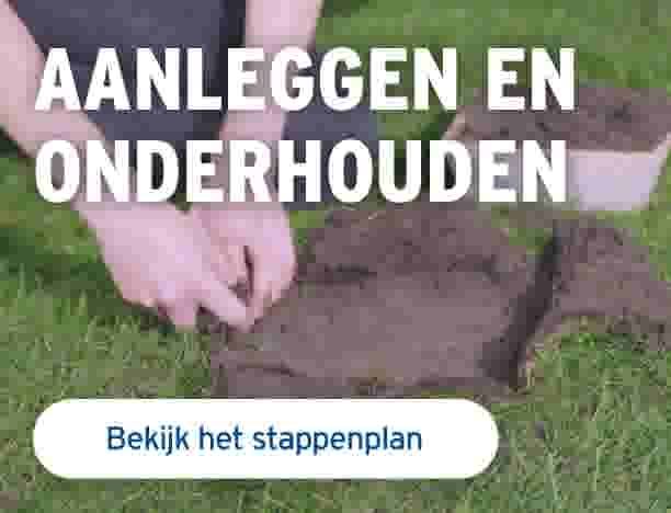 aanleggen en onderhouden