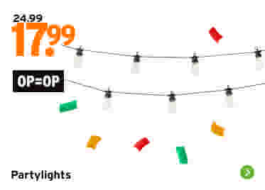 Partylights met 20 LED lampjes 