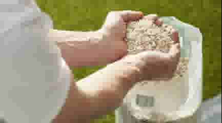 Gazon bemesten - Thumbnail