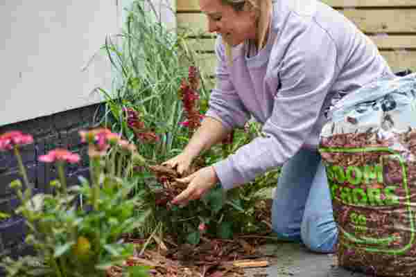 Alles voor jouw tuin