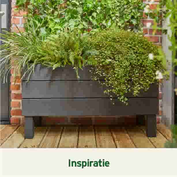 Strakke maar duurzame tuin met ruimte voor containers