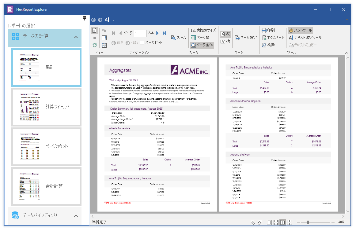 FlexReport Explorer
